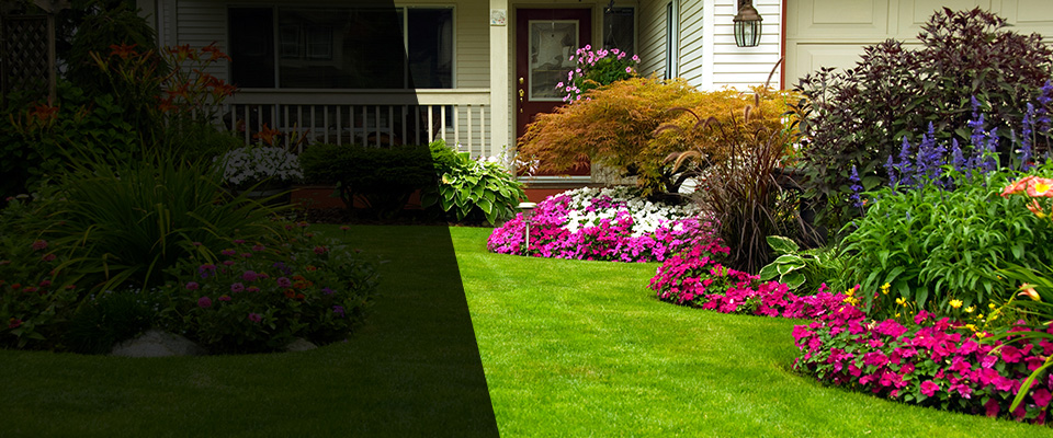 Stafford Landscapers